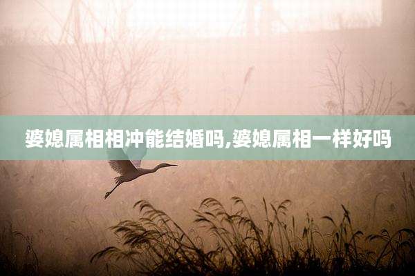 婆媳属相相冲能结婚吗,婆媳属相一样好吗
