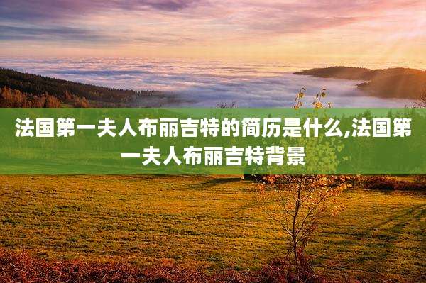 法国第一夫人布丽吉特的简历是什么,法国第一夫人布丽吉特背景