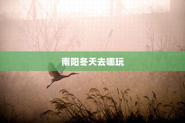 南阳冬天去哪玩