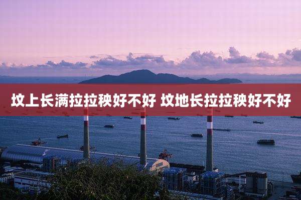 坟上长满拉拉秧好不好 坟地长拉拉秧好不好