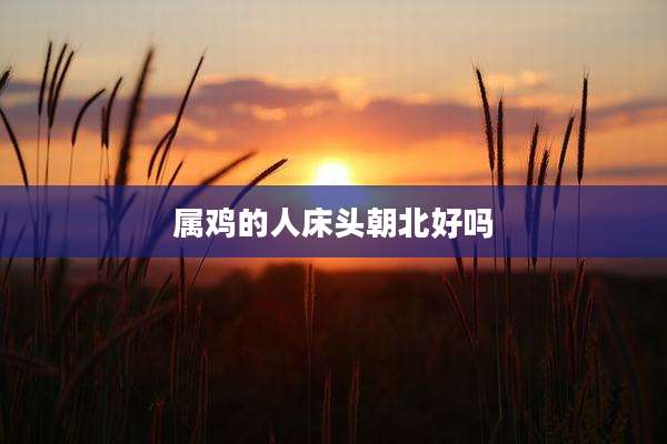 属鸡的人床头朝北好吗