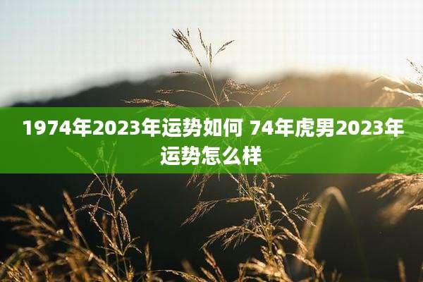 1974年2023年运势如何 74年虎男2023年运势怎么样