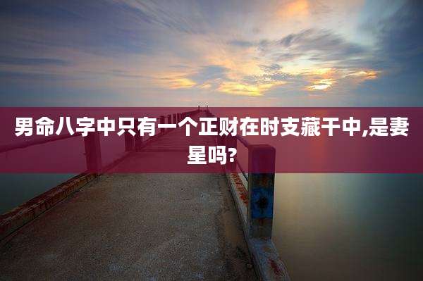 男命八字中只有一个正财在时支藏干中,是妻星吗?