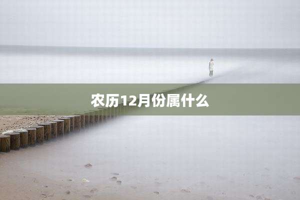 农历12月份属什么