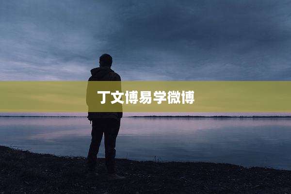 丁文博易学微博
