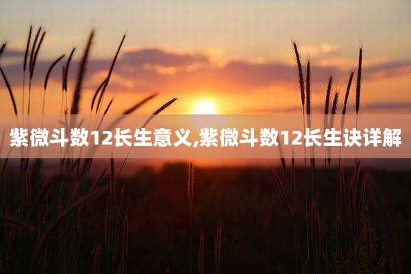 紫微斗数12长生意义,紫微斗数12长生诀详解