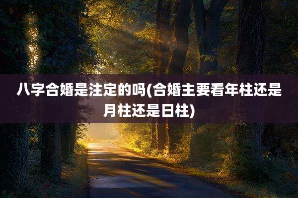 八字合婚是注定的吗(合婚主要看年柱还是月柱还是日柱)