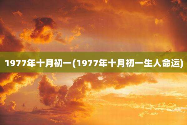 1977年十月初一(1977年十月初一生人命运)