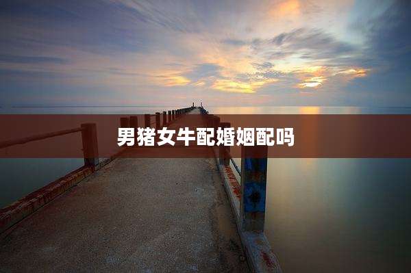 男猪女牛配婚姻配吗