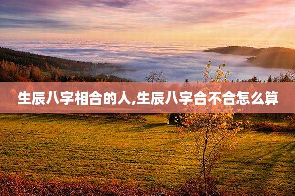生辰八字相合的人,生辰八字合不合怎么算