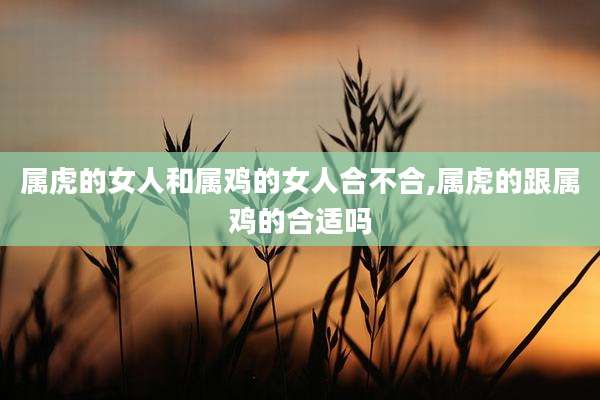 属虎的女人和属鸡的女人合不合,属虎的跟属鸡的合适吗