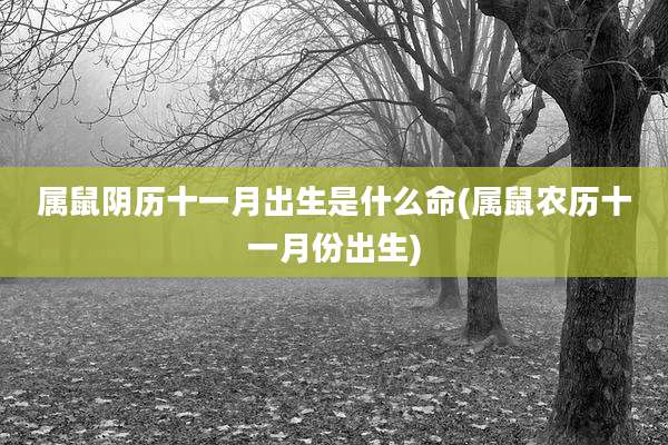 属鼠阴历十一月出生是什么命(属鼠农历十一月份出生)