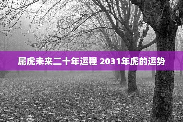属虎未来二十年运程 2031年虎的运势