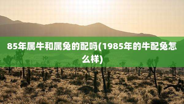 85年属牛和属兔的配吗(1985年的牛配兔怎么样)