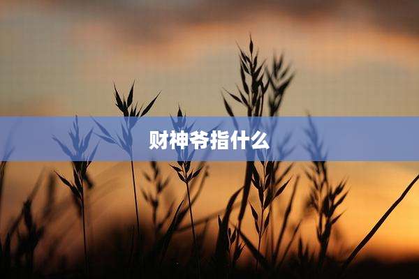 财神爷指什么