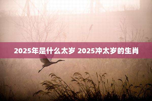 2025年是什么太岁 2025冲太岁的生肖