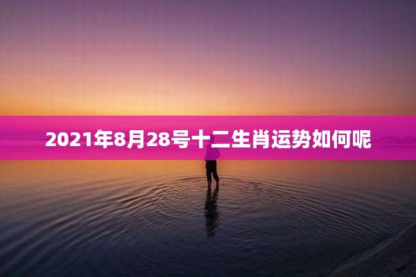 2021年8月28号十二生肖运势如何呢