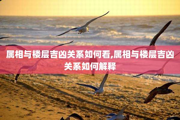 属相与楼层吉凶关系如何看,属相与楼层吉凶关系如何解释