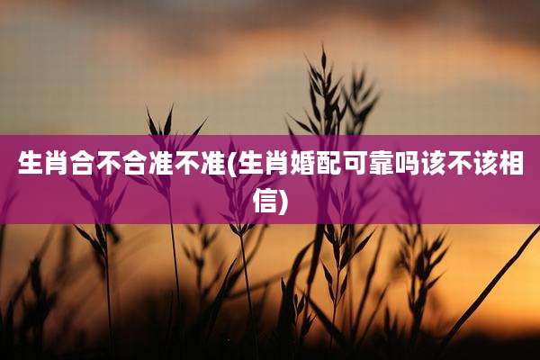 生肖合不合准不准(生肖婚配可靠吗该不该相信)