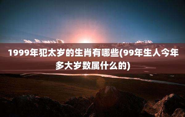 1999年犯太岁的生肖有哪些(99年生人今年多大岁数属什么的)