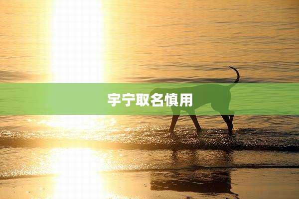 宇宁取名慎用