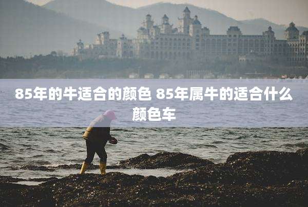 85年的牛适合的颜色 85年属牛的适合什么颜色车