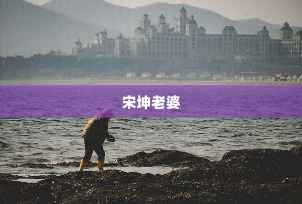宋坤老婆