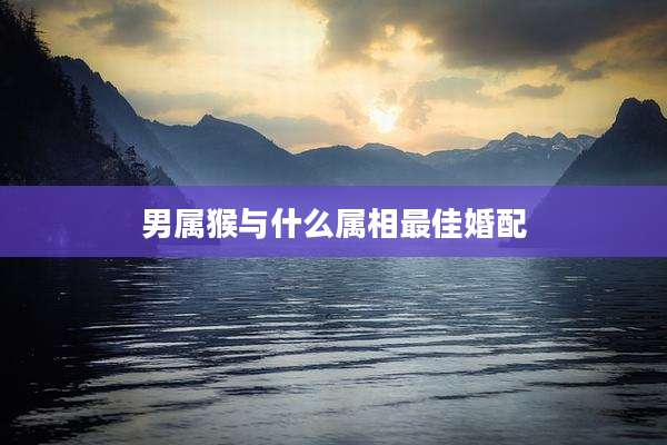 男属猴与什么属相最佳婚配