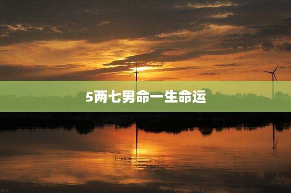 5两七男命一生命运