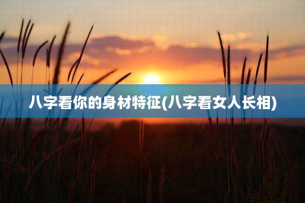 八字看你的身材特征(八字看女人长相)