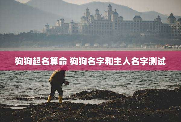 狗狗起名算命 狗狗名字和主人名字测试