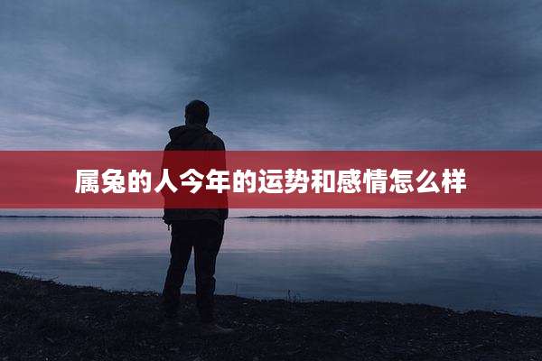 属兔的人今年的运势和感情怎么样