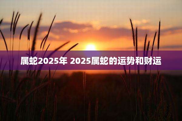 属蛇2025年 2025属蛇的运势和财运