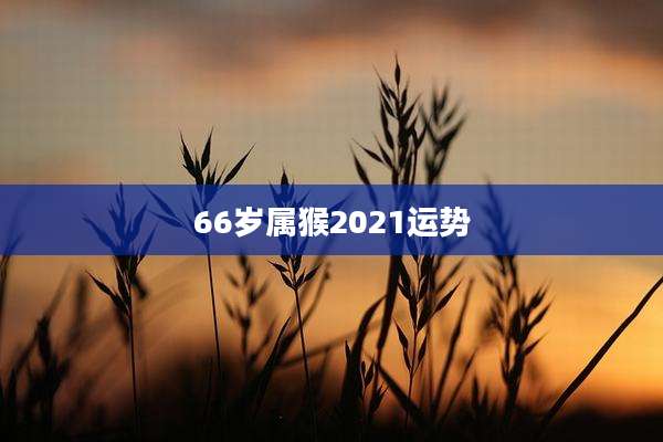 66岁属猴2021运势