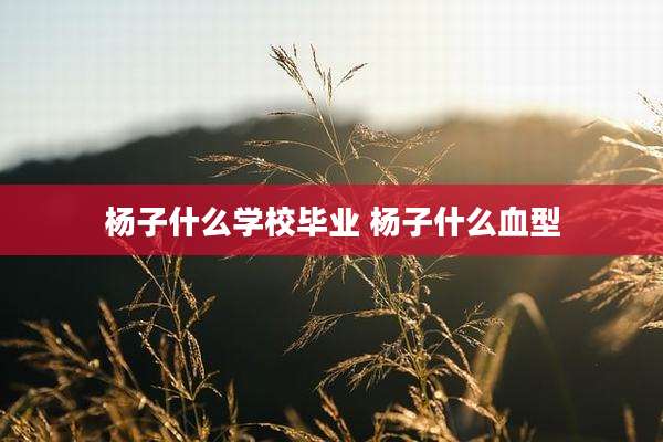 杨子什么学校毕业 杨子什么血型
