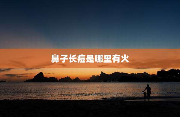 鼻子长痘是哪里有火
