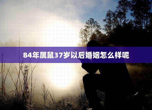84年属鼠37岁以后婚姻怎么样呢