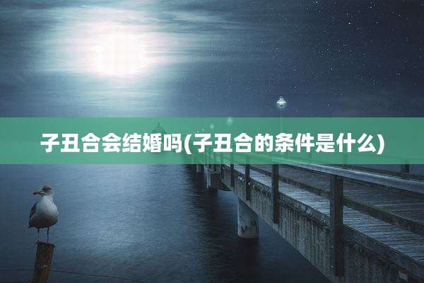 子丑合会结婚吗(子丑合的条件是什么)