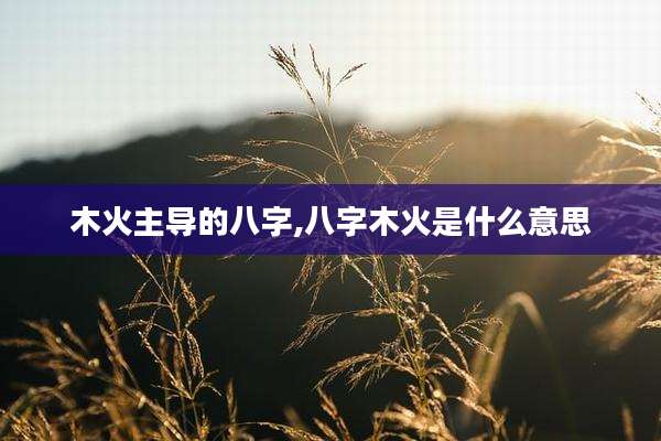 木火主导的八字,八字木火是什么意思