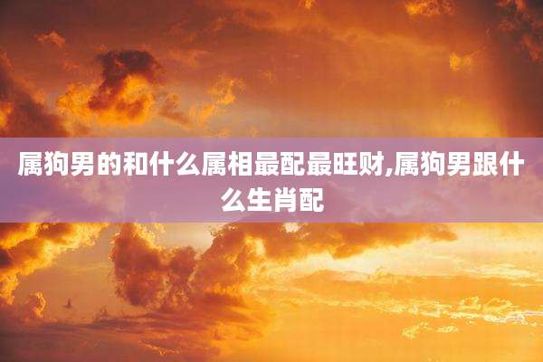 属狗男的和什么属相最配最旺财,属狗男跟什么生肖配
