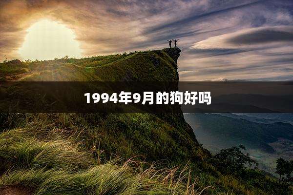 1994年9月的狗好吗