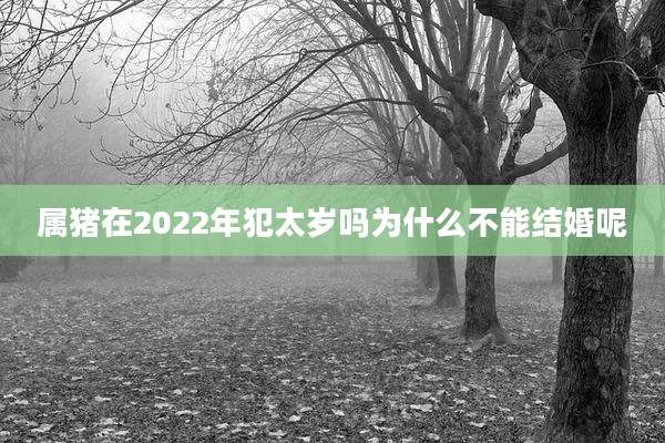 属猪在2022年犯太岁吗为什么不能结婚呢