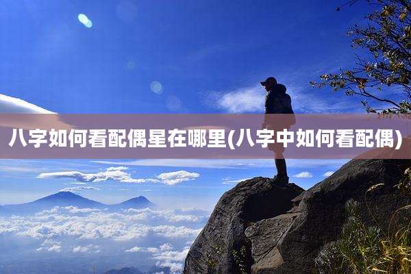 八字如何看配偶星在哪里(八字中如何看配偶)