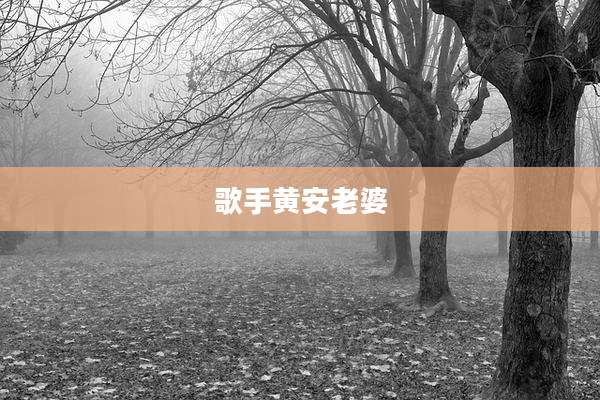 歌手黄安老婆