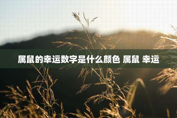 属鼠的幸运数字是什么颜色 属鼠 幸运
