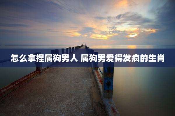 怎么拿捏属狗男人 属狗男爱得发疯的生肖