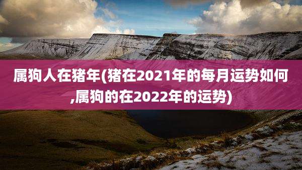属狗人在猪年(猪在2021年的每月运势如何,属狗的在2022年的运势)