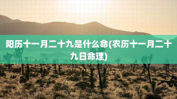 阳历十一月二十九是什么命(农历十一月二十九日命理)