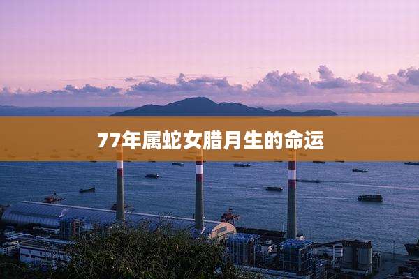 77年属蛇女腊月生的命运