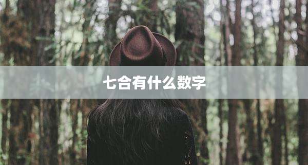 七合有什么数字